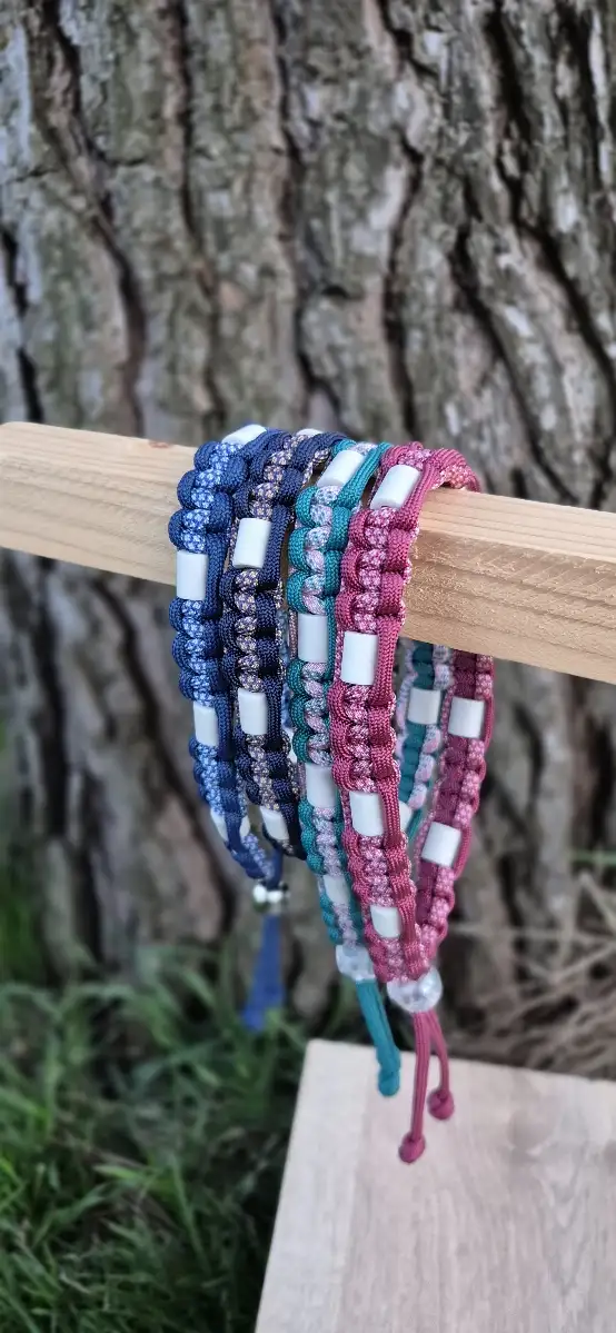 Collier anti-tiques et Vinaigre des 4 voleurs