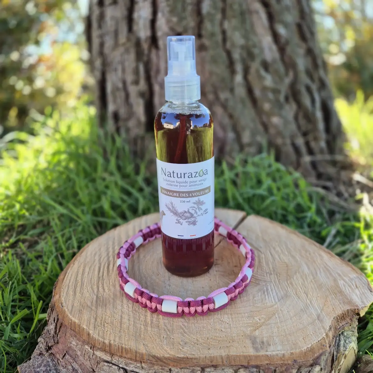 Vinaigre des 4 voleurs (Naturazoa)